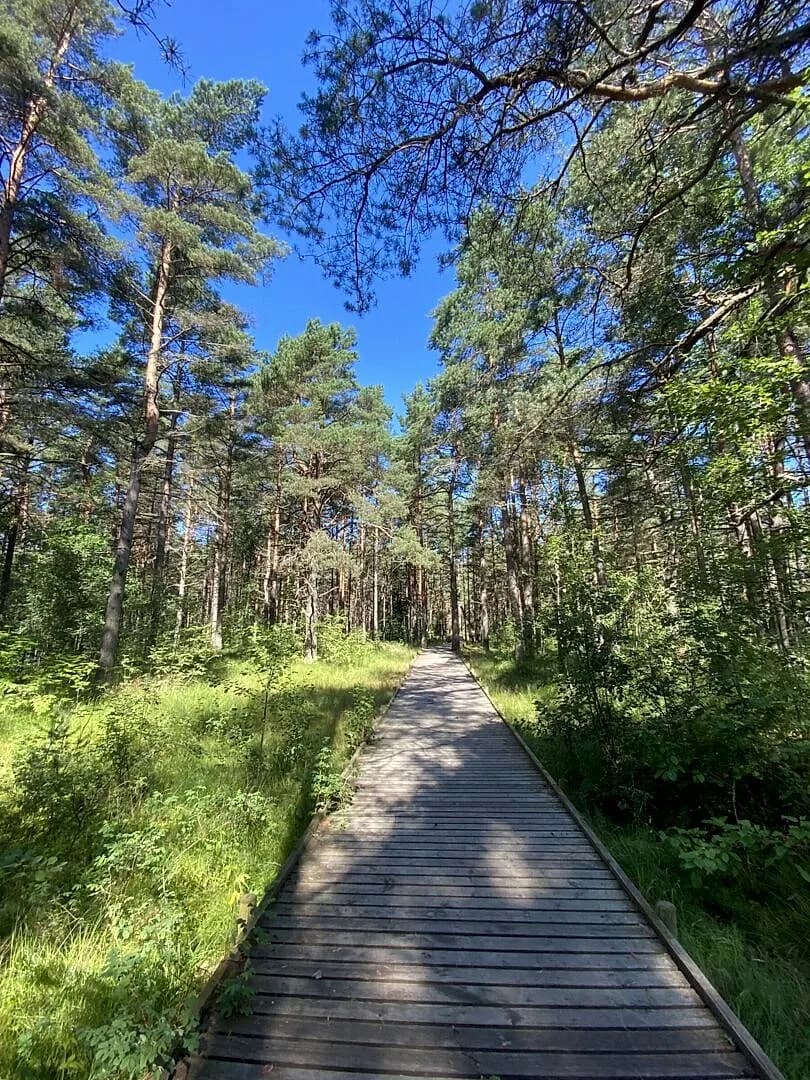 Zeme, 5510㎡ - Rīga, Mangaļsala — vēl bildes
