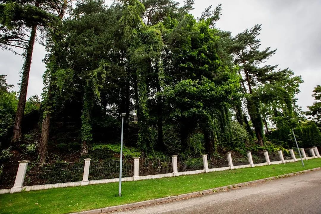 7-ist. Māja, 384㎡ - Rīga, Mežaparks — bilde 4