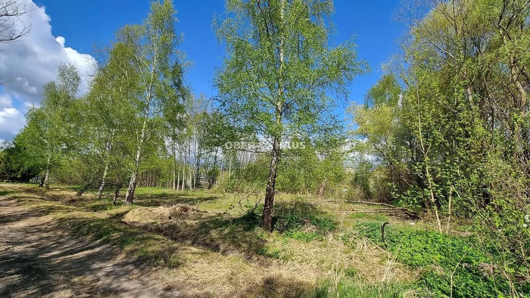 Zeme, 1742.00㎡ - Jelgava — bilde 4