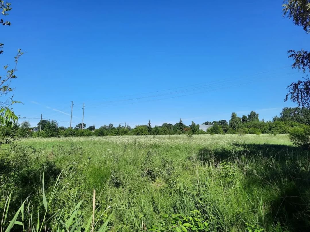 Jaunciema gatve, Trīsciems, Rīga — vēl bildes