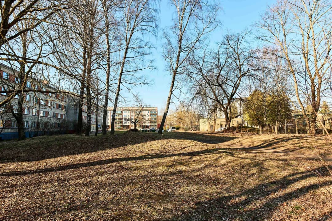 Zalves iela, Šampēteris, Rīga