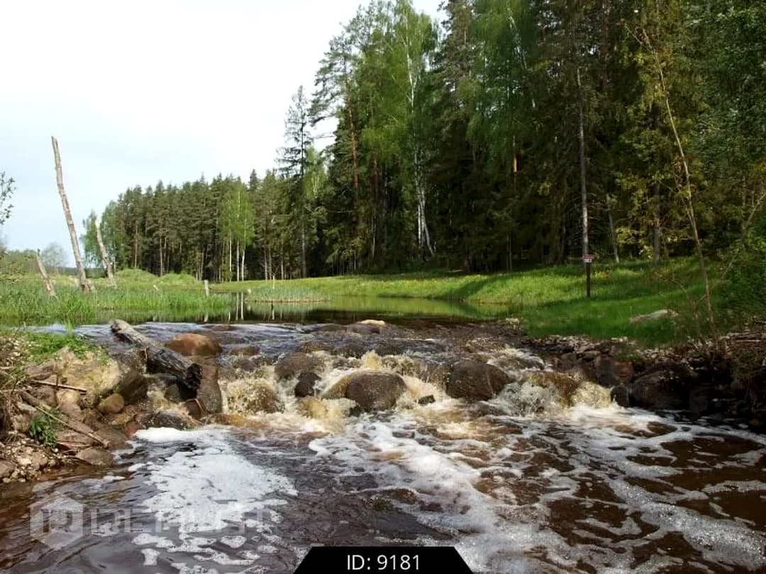8-ist. Māja, 700.00㎡ - Tukuma novads, Sēmes pagasts — bilde 4