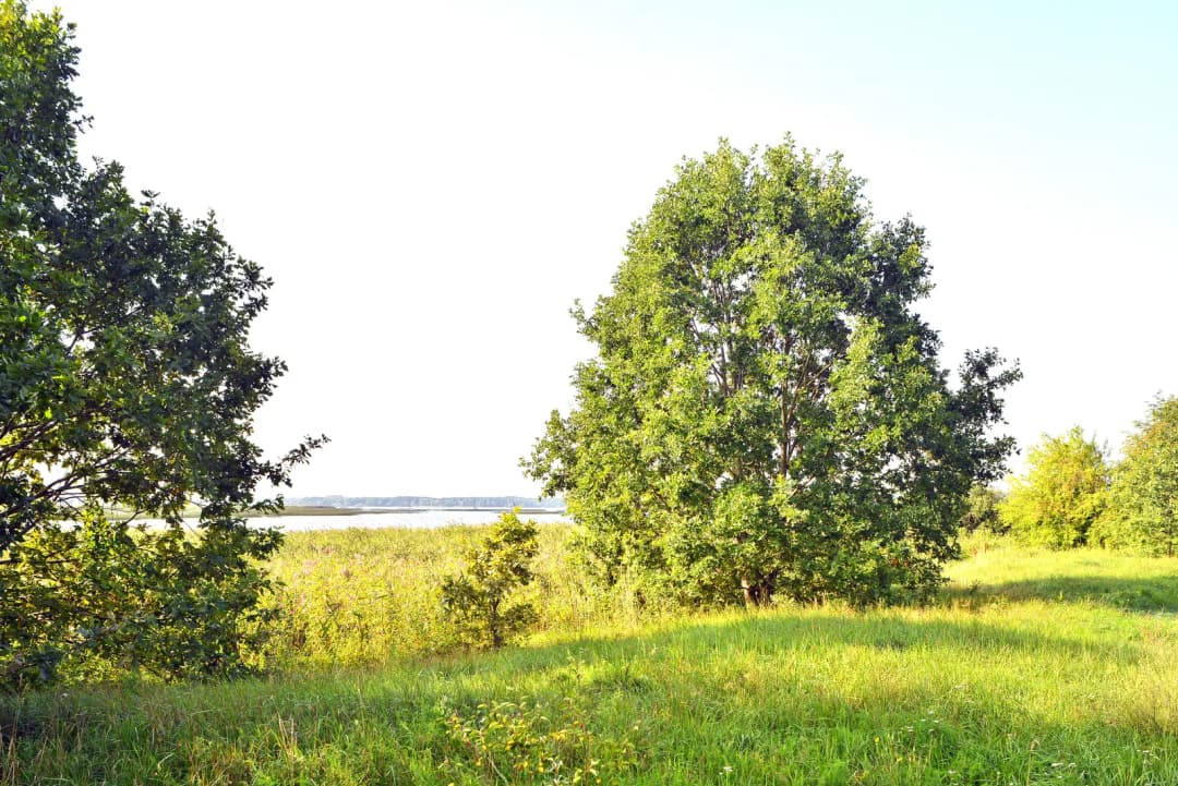 Jaunciema gatve, Jaunciems, Rīga — bilde 3