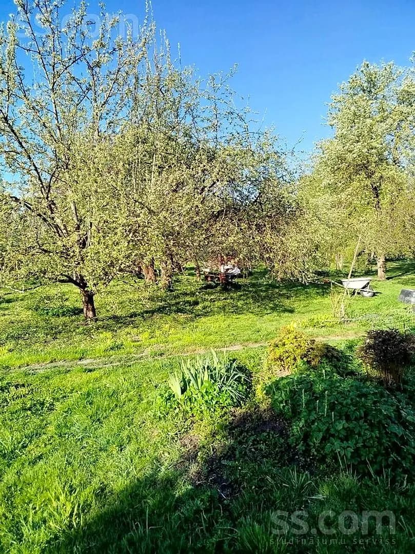 Māja — Ciekuri — bilde 3
