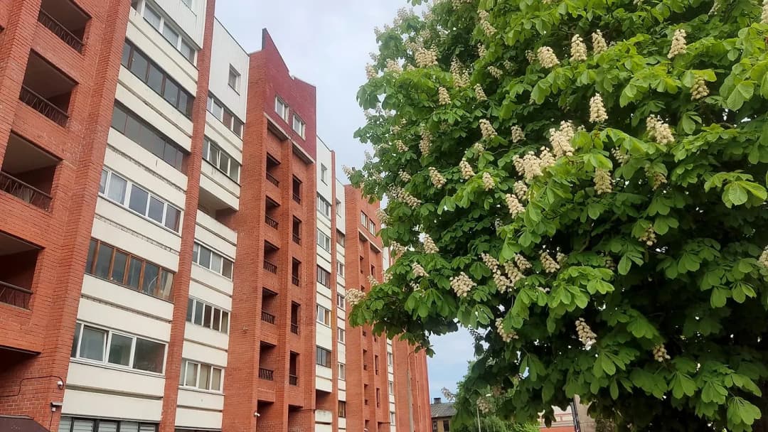 1-ist. Dzīvoklis, 47㎡ - Rīga, Sarkandaugava