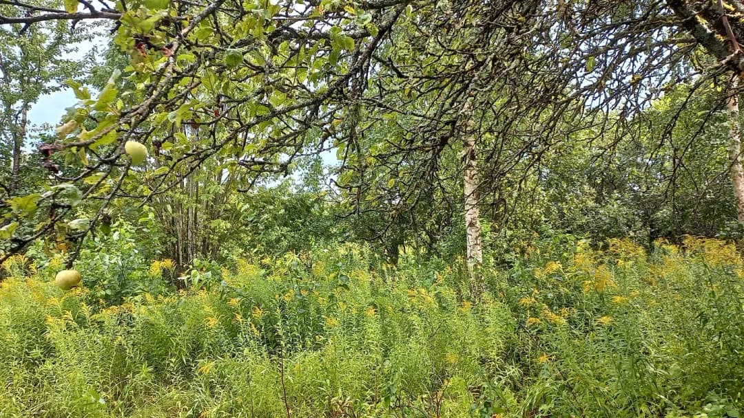 1-ist. Māja, 15㎡ - Ludzas novads, Ludza — bilde 4
