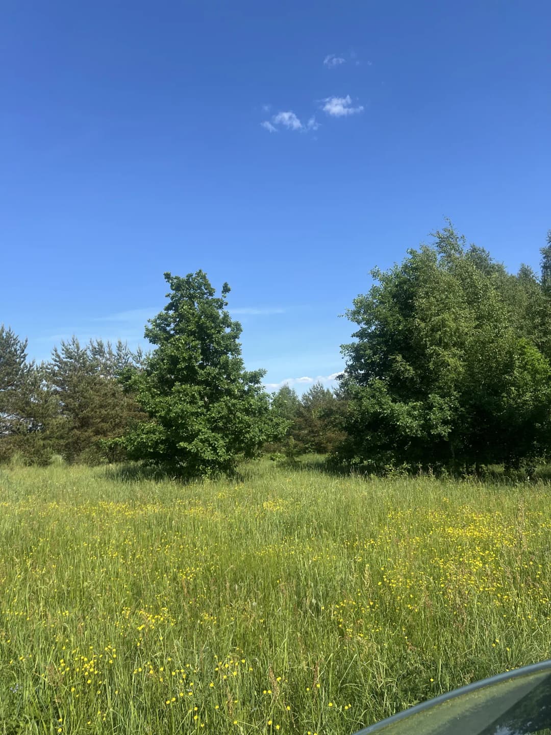 Smilšu iela, Valdemārpils — bilde 2