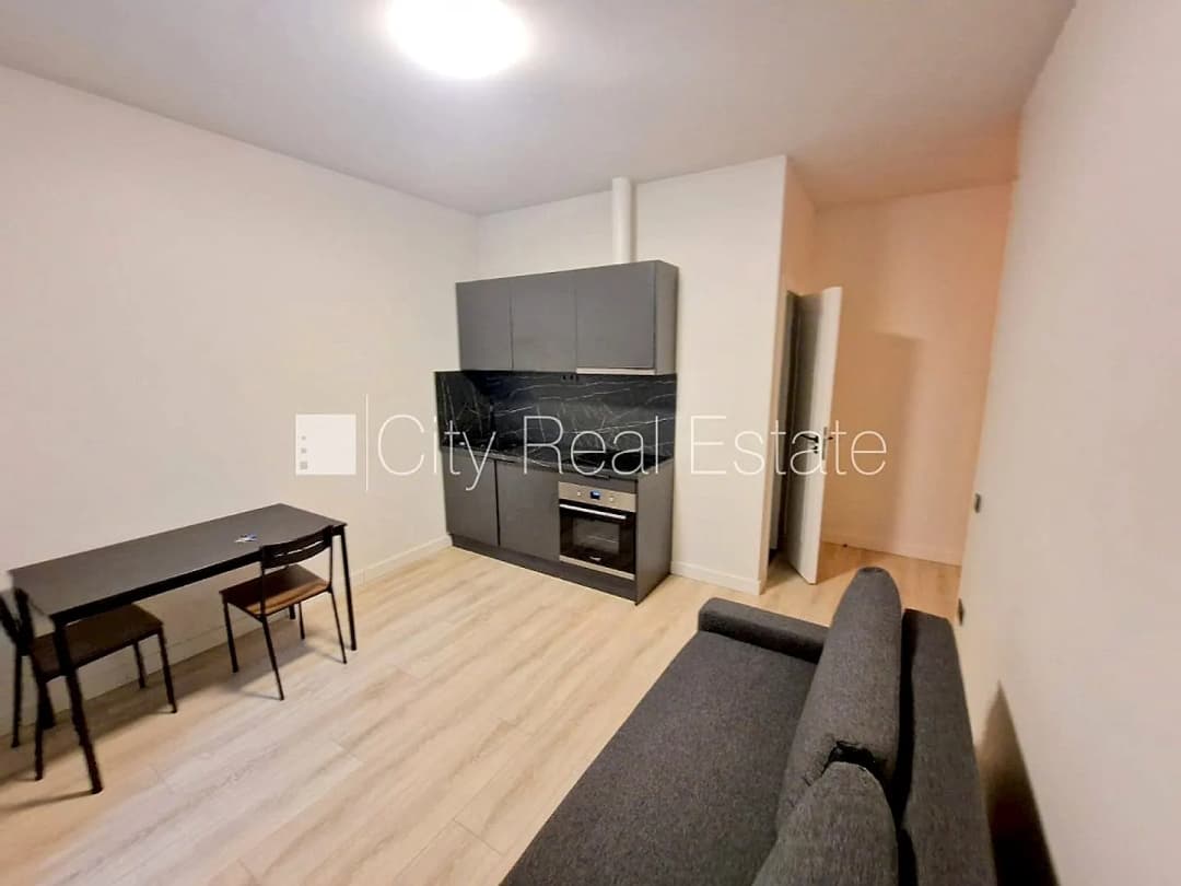 Vienistabas dzīvoklis — Krišjāņa Barona iela 104 — bilde 2