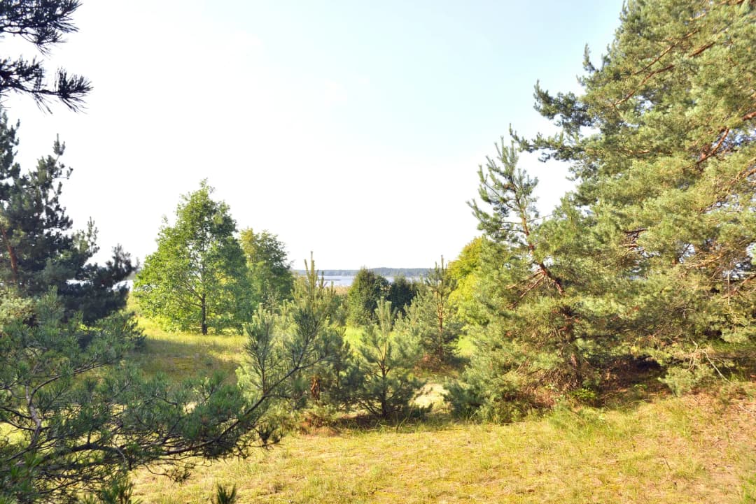 Jaunciema gatve, Jaunciems, Rīga — bilde 4