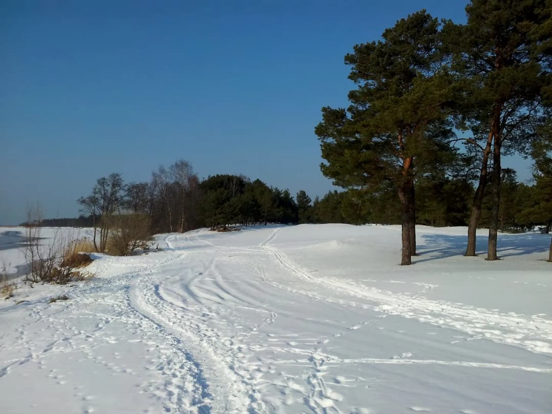 6-ist. Māja, 78㎡ - Carnikavas pagasts, Gauja