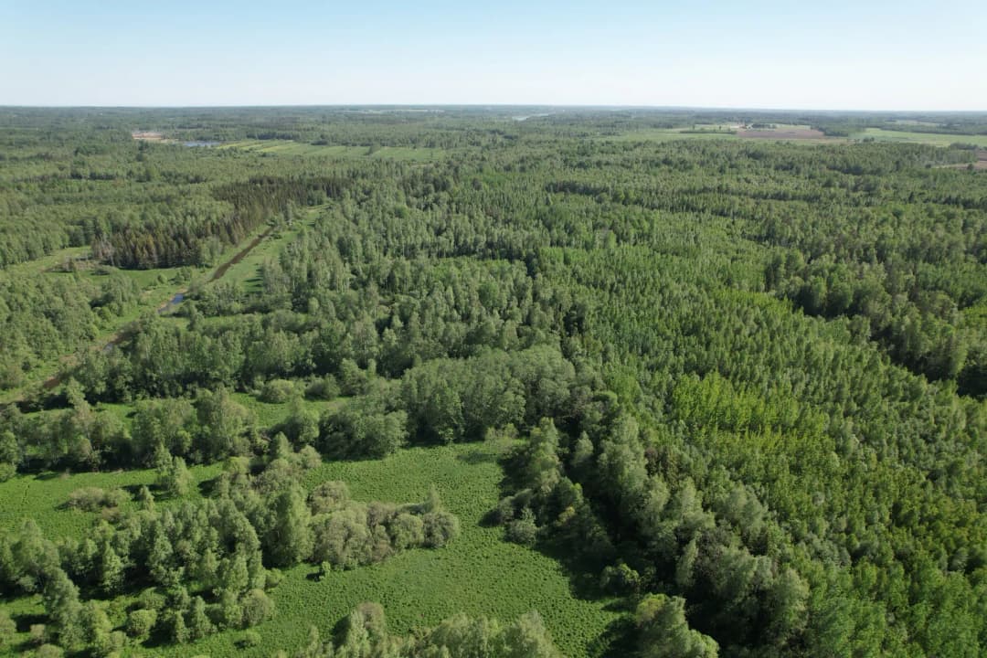 Viļķenes pagasts, Limbažu novads