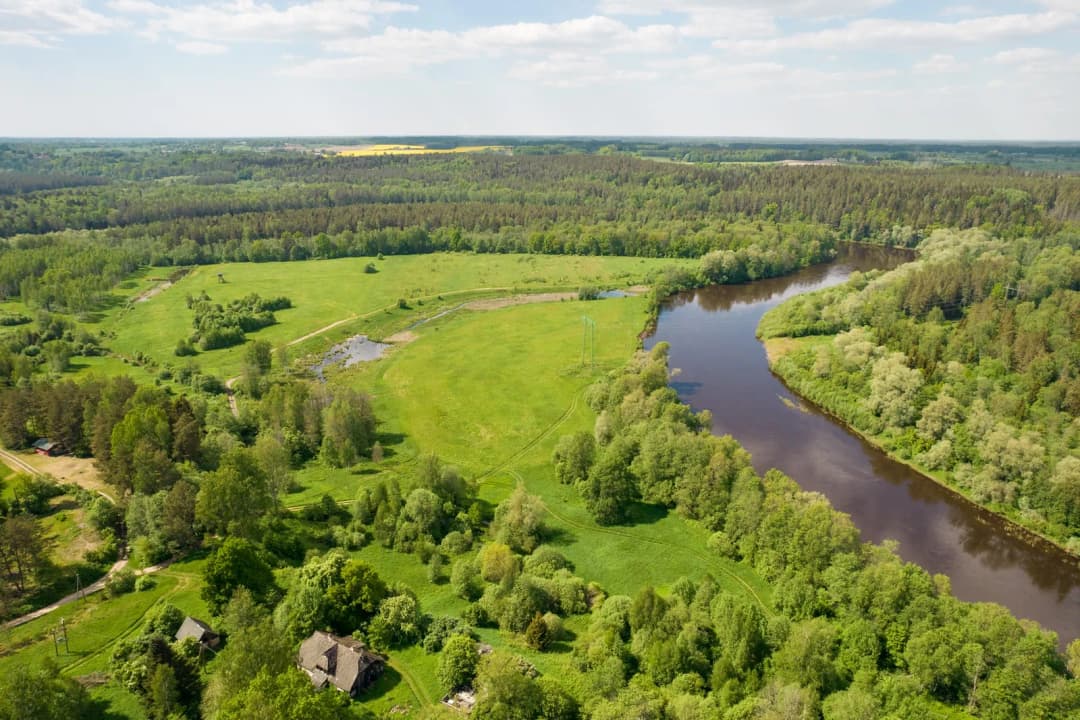 Viesulēni, Gauja, Inčukalna pagasts — bilde 4