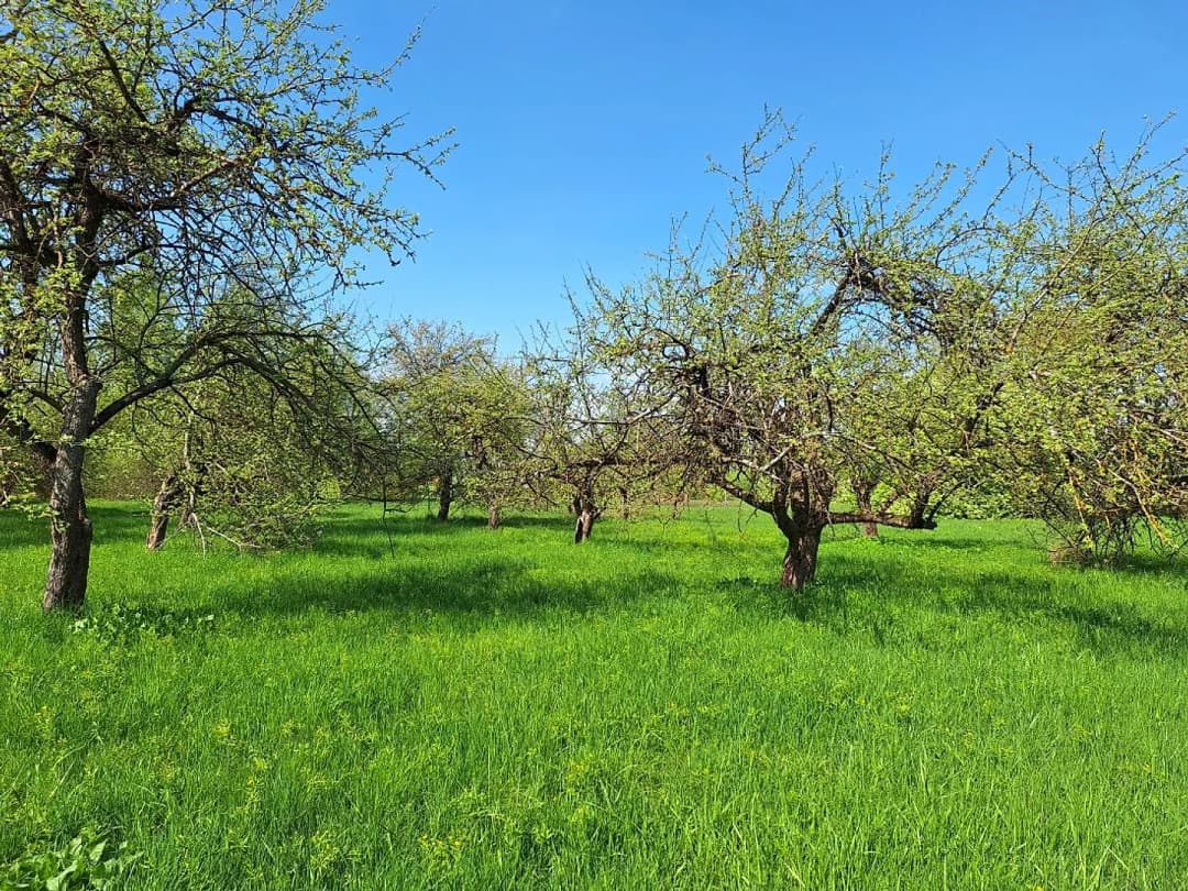 Zeme, 1453㎡ - Jēkabpils novads, Jēkabpils — bilde 4
