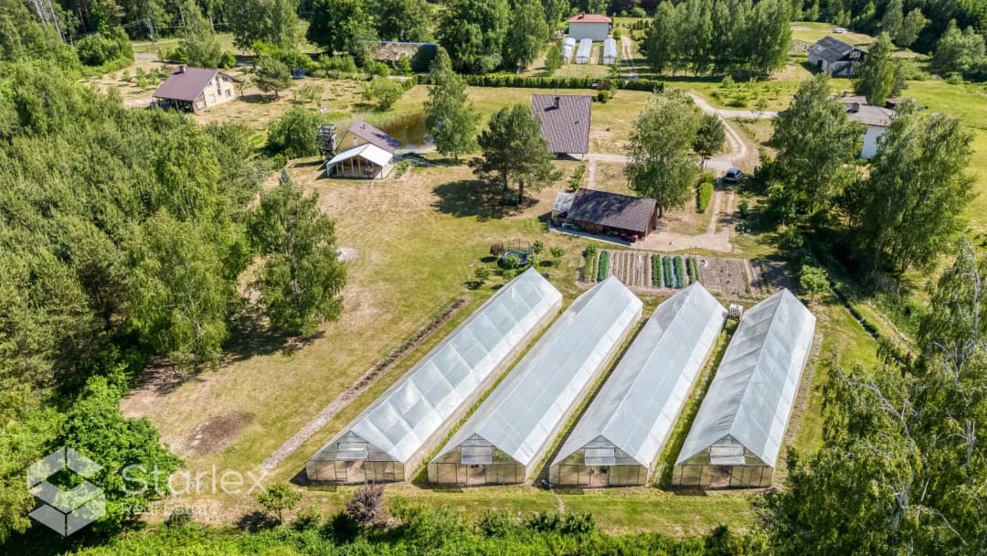 Vīnogas , Salgales pag., Jelgava — bilde 2