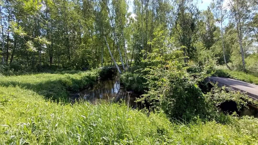 Zeme, 3856.00㎡ - Jūrmala, Krastciems — bilde 2