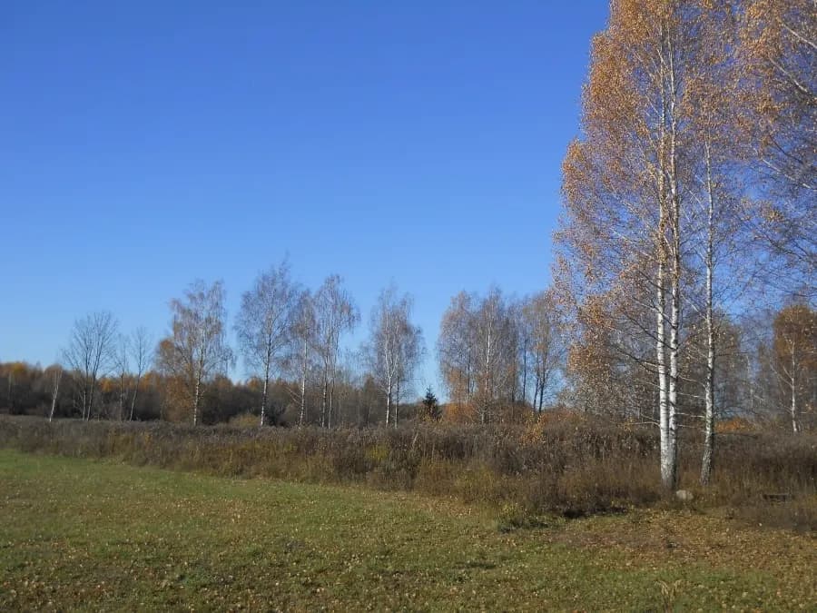 Kokneses pagasts, Aizkraukles novads — bilde 4