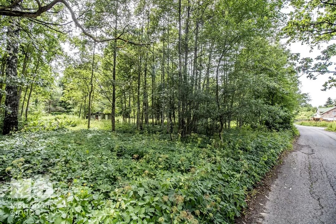 Zeme, 4388㎡ - Rīga, Mūkupurvs — bilde 3