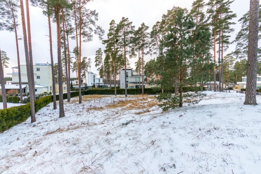 Ezera iela, Babītes pagasts, Mārupes novads — vēl bildes