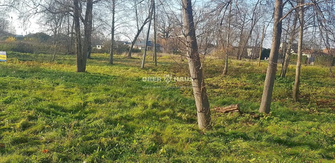 Zeme, 1024.00㎡ - Jelgava — bilde 2