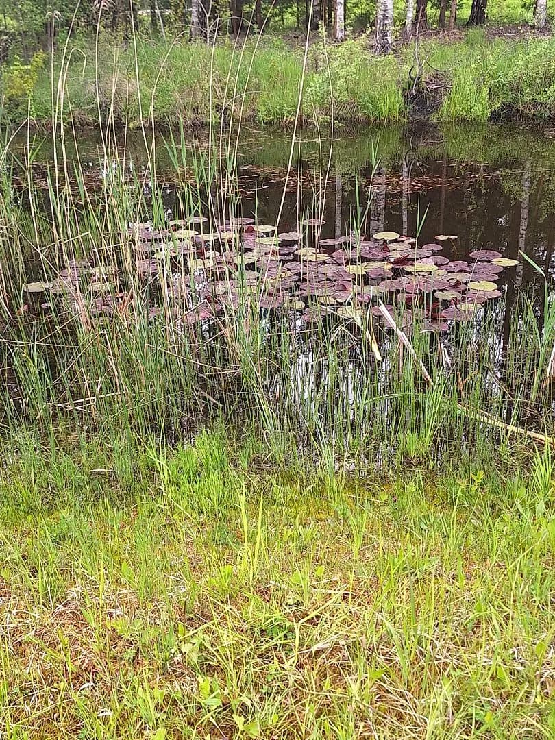 3-ist. Māja, 32600㎡ - Saulkrastu novads, Sējas pagasts — bilde 3