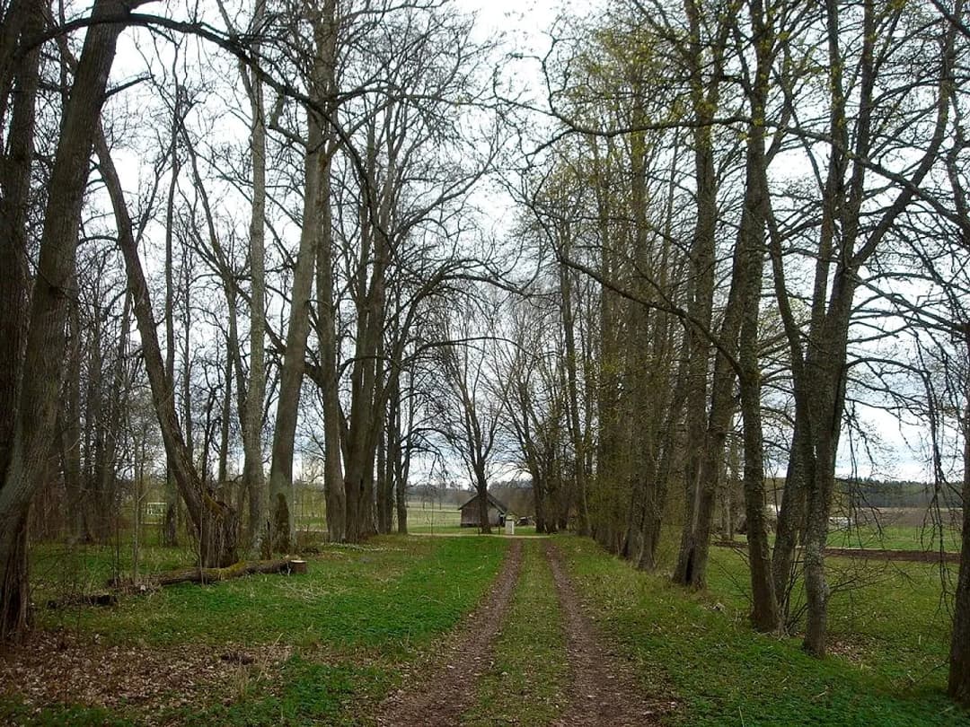 Vilkmuiža, Bilskas pagasts — vēl bildes